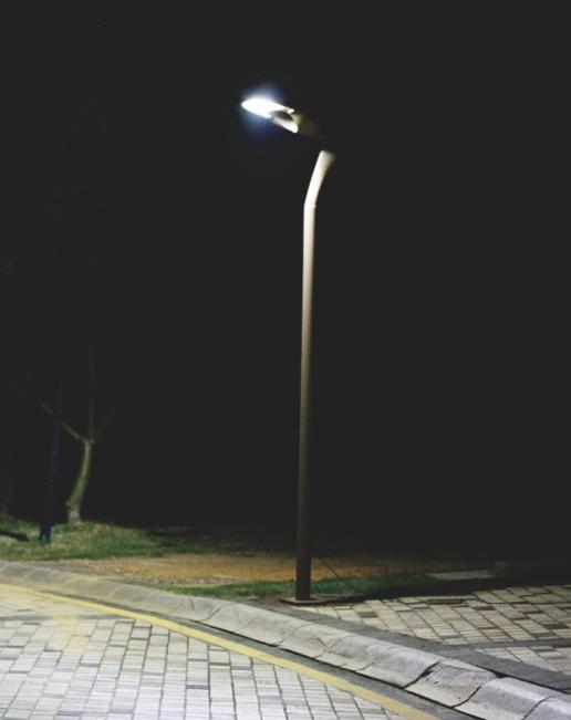 炬阳飞鸟造型LED路灯效果