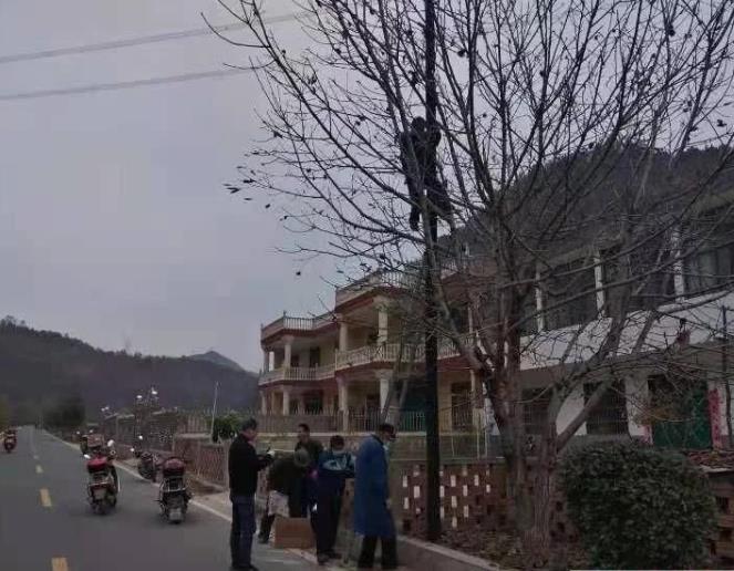 陕西商州北宽坪镇:安装路灯送光明乡村振兴暖人心