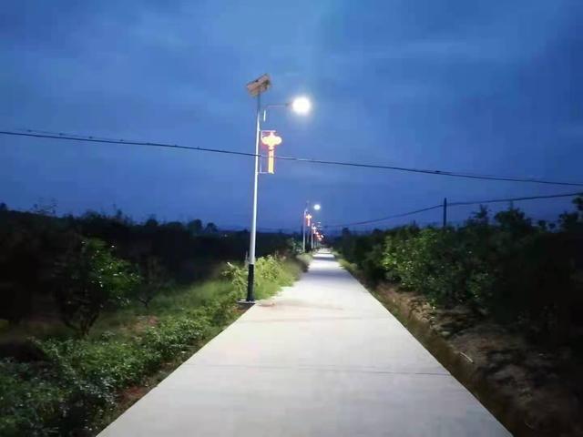 老板出资安路灯 山村夜晚见美景